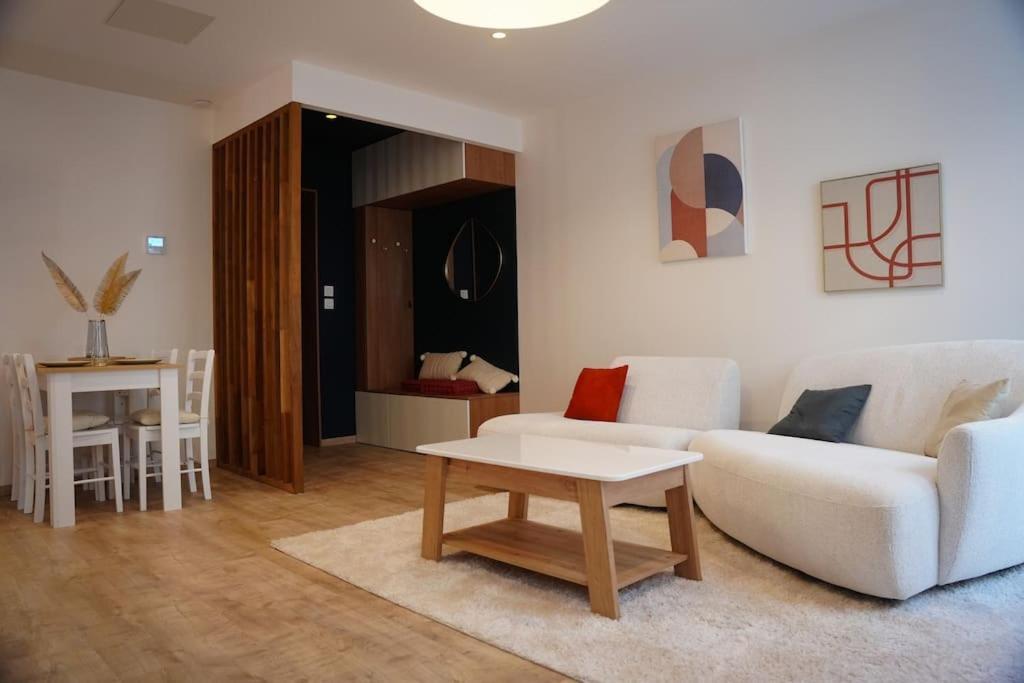 Bel Appartement Centre-Ville Saint-Etienne  Exteriér fotografie